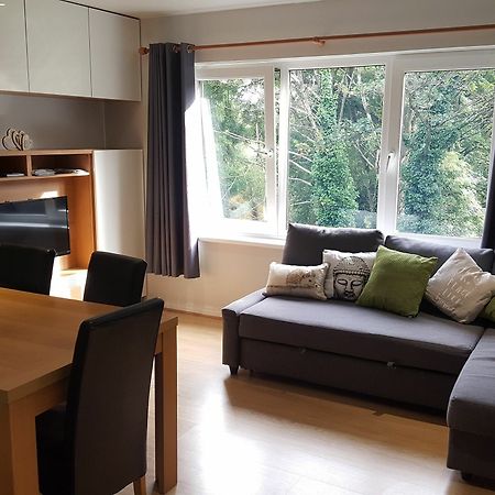 Stranmillis Court Apartment بلفاست المظهر الخارجي الصورة